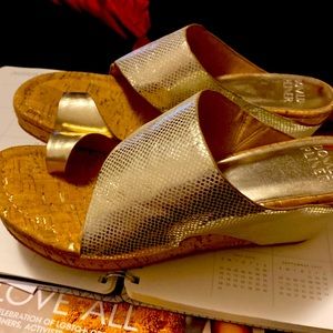 Donald Pilner size 10 wedge hill sandal.